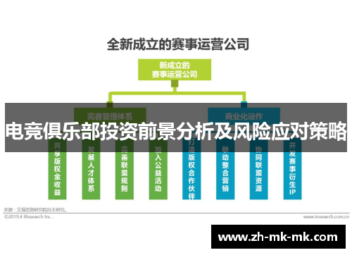 电竞俱乐部投资前景分析及风险应对策略